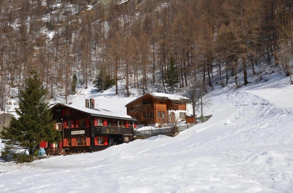 Haus Alpenperle Leilighet Saas-Almagell Eksteriør bilde