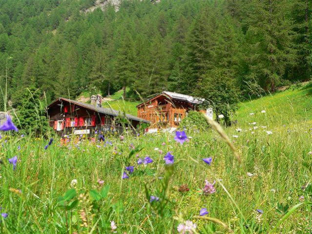 Haus Alpenperle Leilighet Saas-Almagell Eksteriør bilde